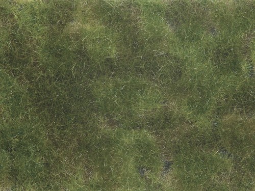 Noch 07251 Bodembedekker-foliage olijfgroen, 12x18 cm